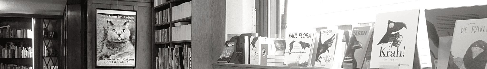 Blick in die Regale der Buchhandlung Analog