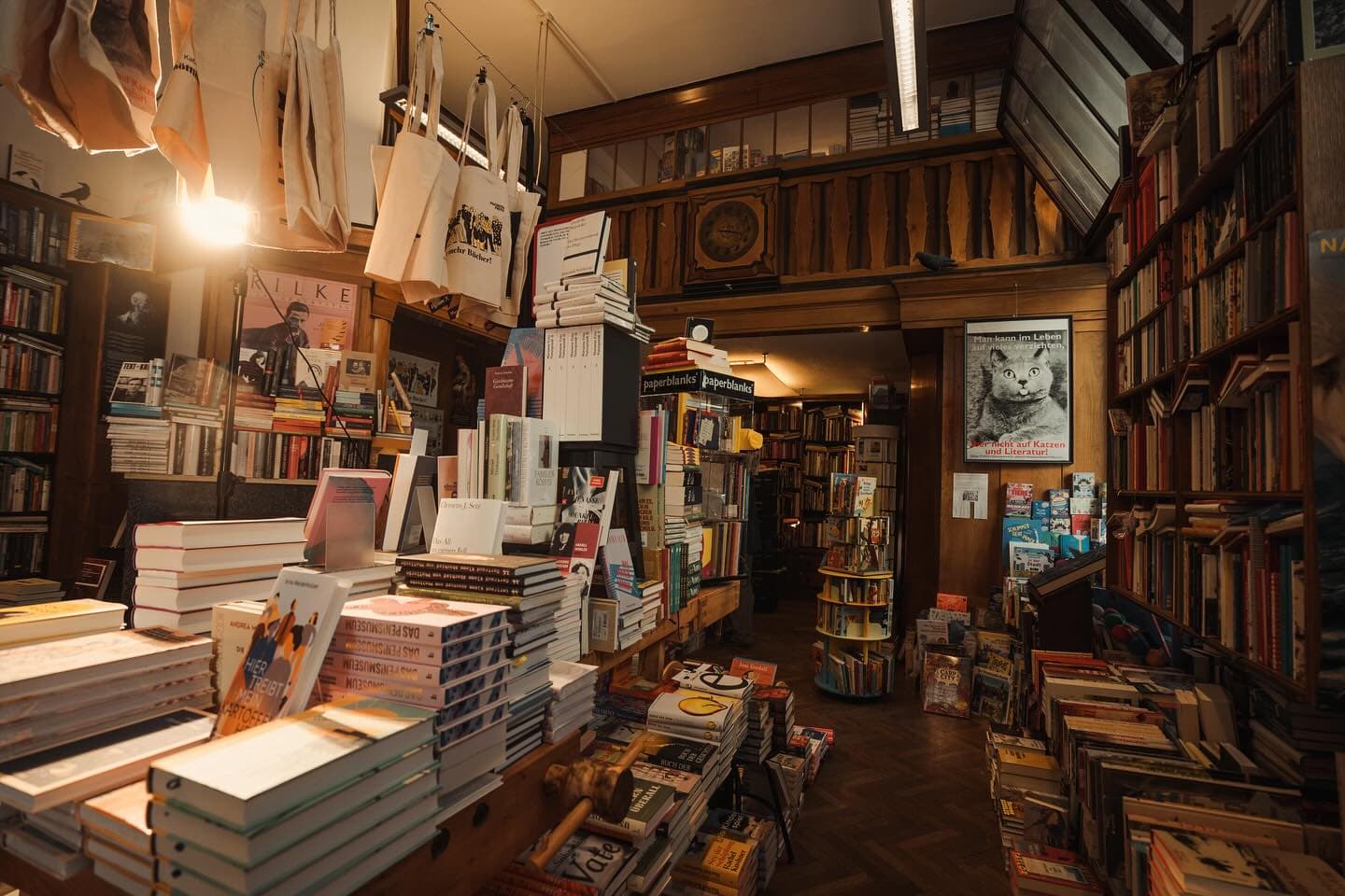 Buchhandlung Analog von innen, warmes Abendlicht