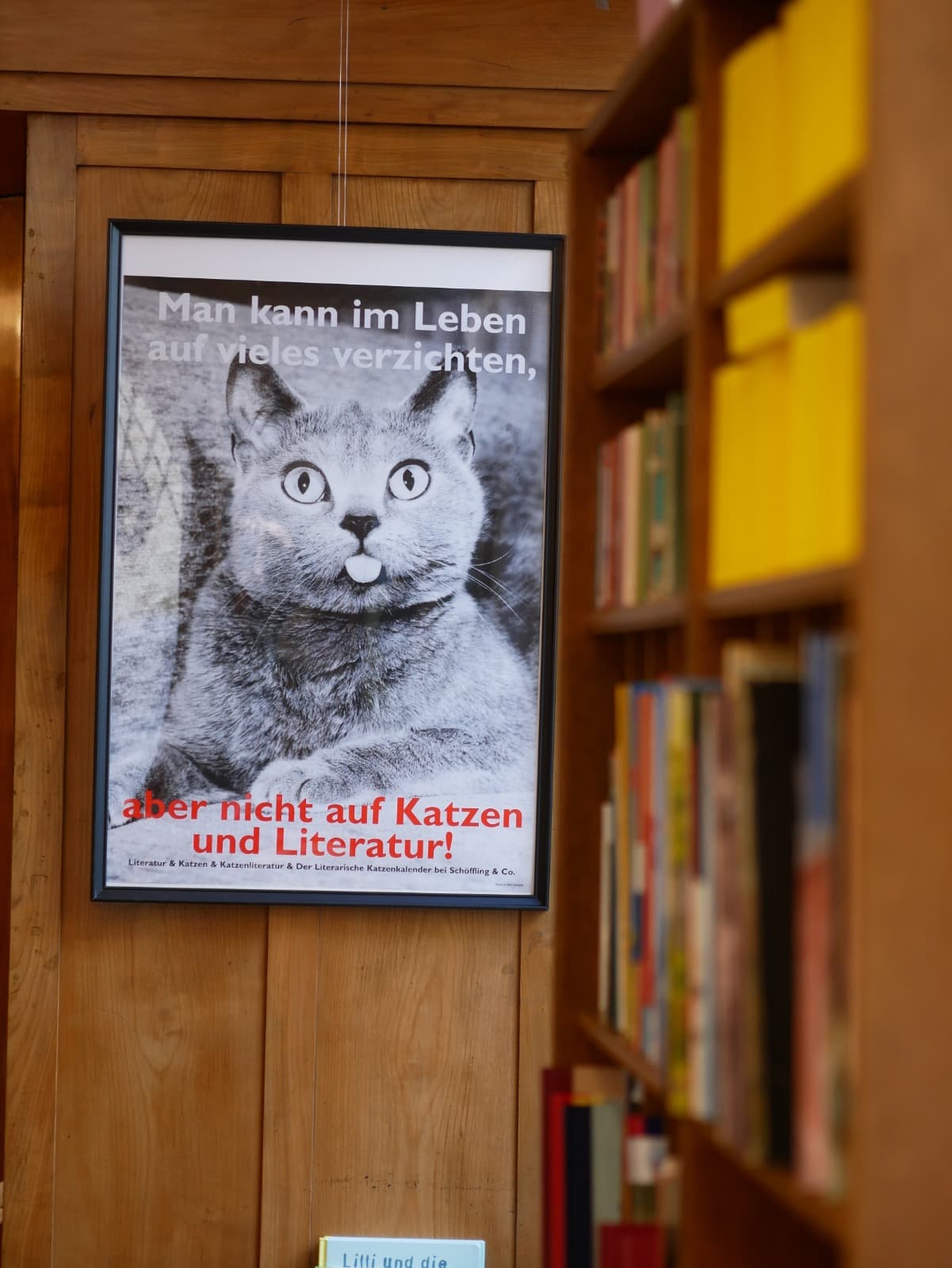 Blick in eine Regalecke der Buchhandlung Analog